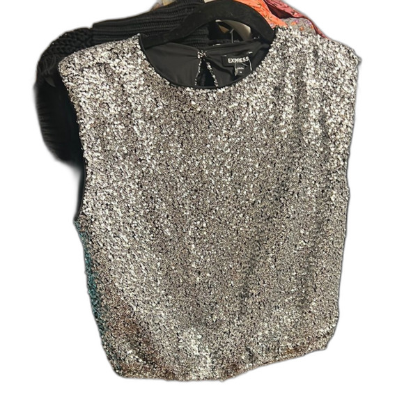Express Silver Sequin Sleeveless Crop Blouse 19.5“ P2P 18.5“ long - Picture 1 of 12